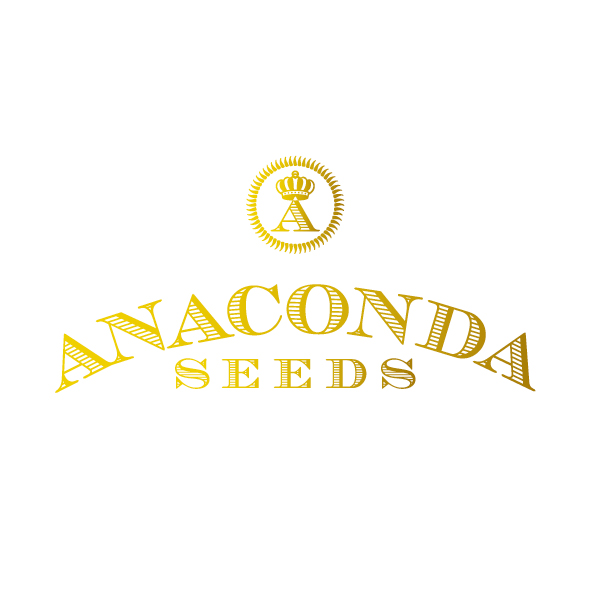 Anaconda seeds