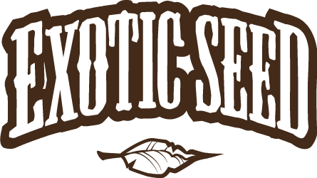 Exotic Seed