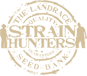 Strain Hunters