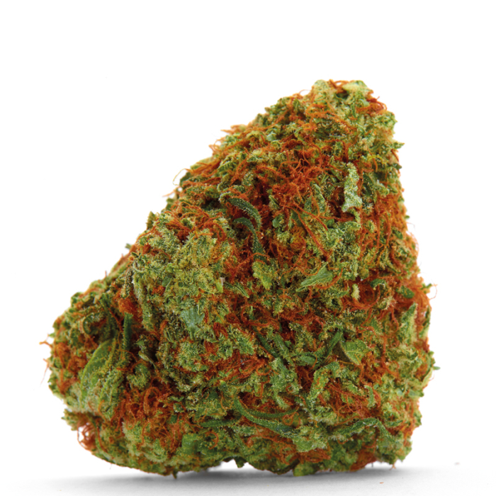 Growers Choice Bubblegum x Fat Hog