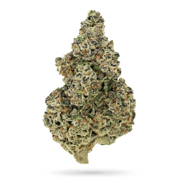 Growers Choice - Crazy Roses Fast