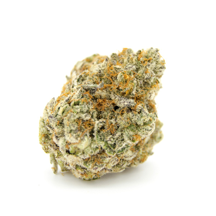 Growers Choice Double XL Forbidden Runtz Auto