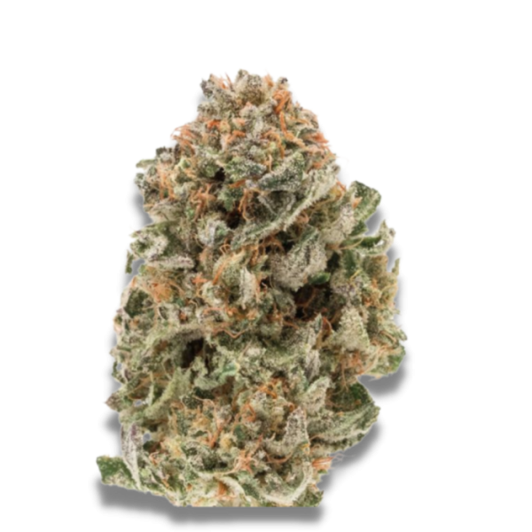M.A.F. Fast Growers Choice