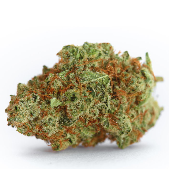 Monsterbud Growers Choice
