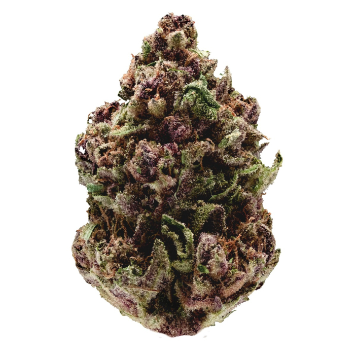 Pink Magic Fast Growers Choice