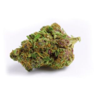 Growers Choice XL Red Banana Berry Auto