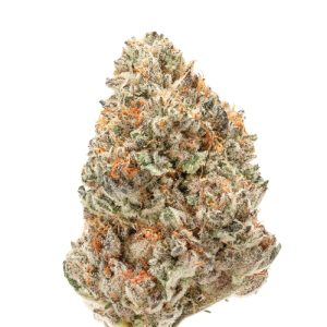 Growers Choice Double XL Watermelon Wedding Cake Auto