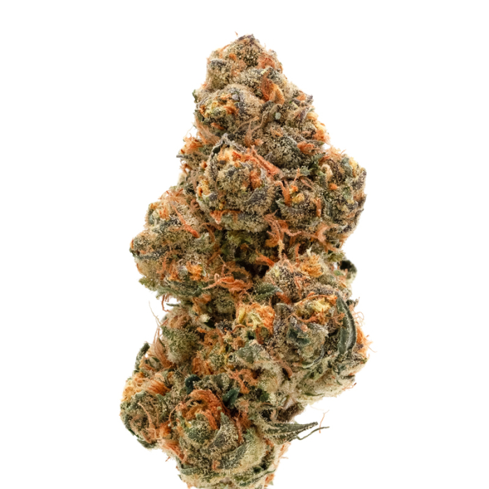 Double XL Wedding Cake x Frosty Gelato Auto