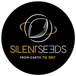 Silent Seeds – Autoflower in feminizirana semena
