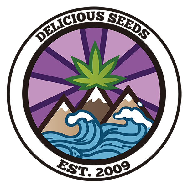 Delicious Seeds – Preverjena konopljina semena za vsakogar
